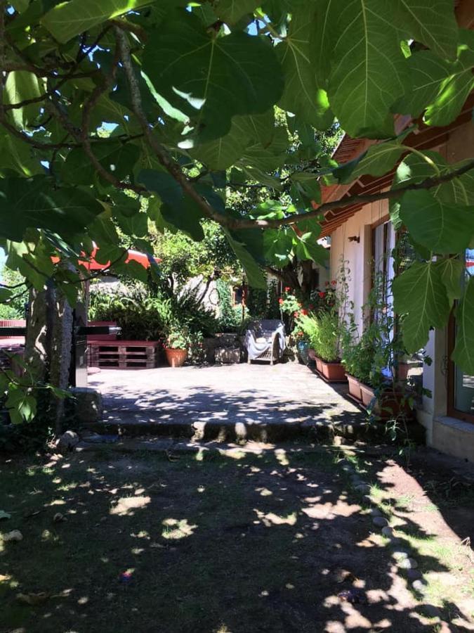 Pilgrims Rest - Vila Nova De Cerveira - Hostel - Albergue - Al Екстериор снимка