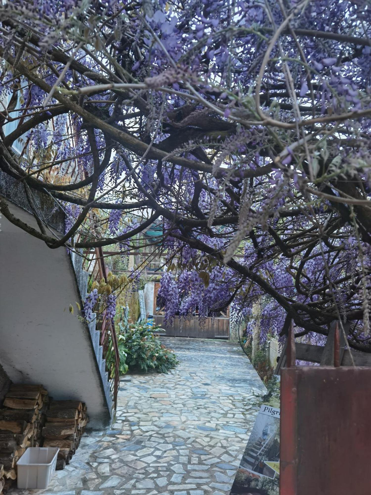 Pilgrims Rest - Vila Nova De Cerveira - Hostel - Albergue - Al Екстериор снимка