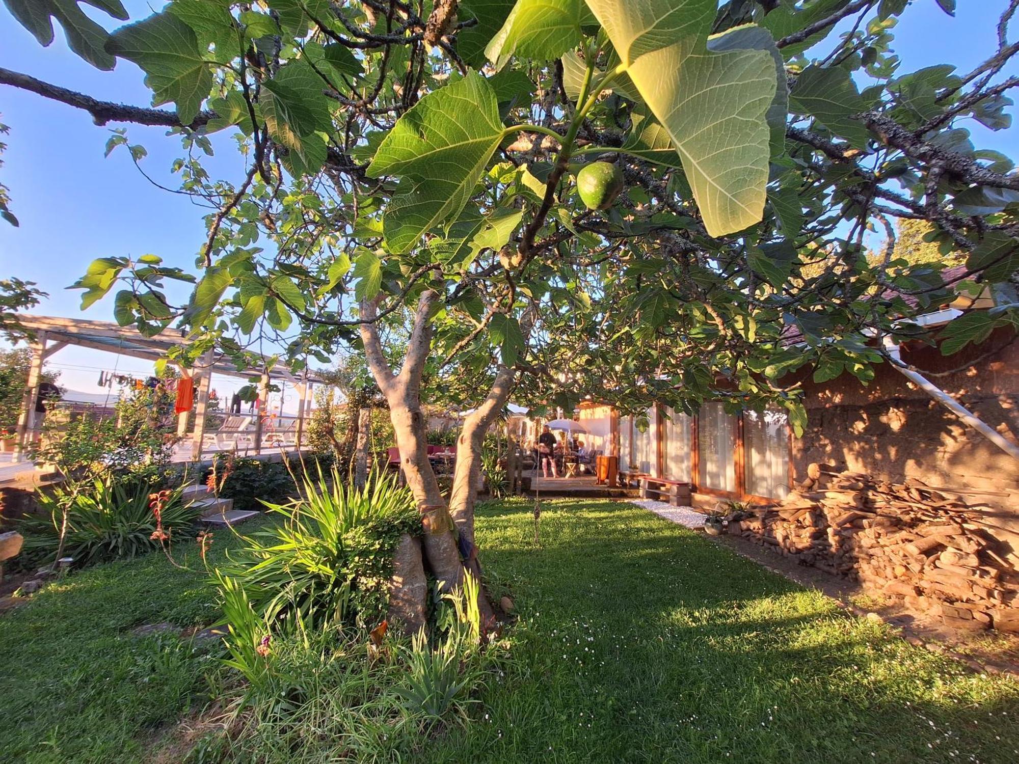 Pilgrims Rest - Vila Nova De Cerveira - Hostel - Albergue - Al Екстериор снимка
